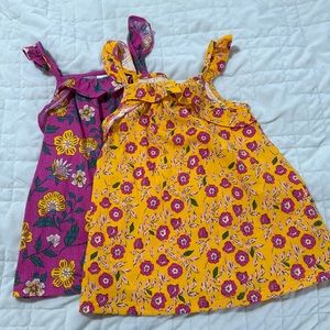 2 Carters girls tops